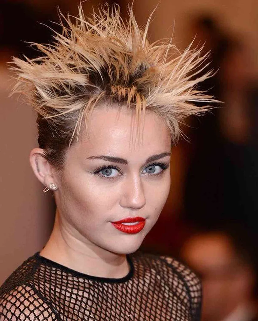 Tunsori spiky' title=