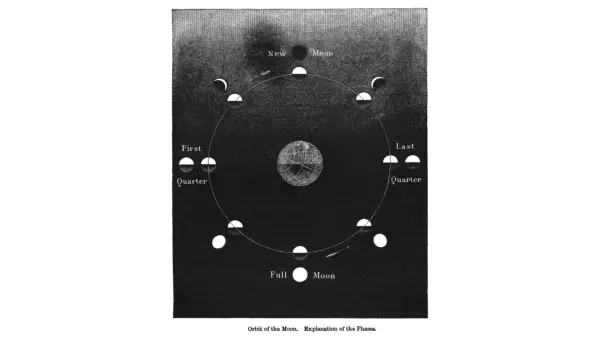 A black-and-white illustration of the Moon in various phases, including the full Moon December 2024