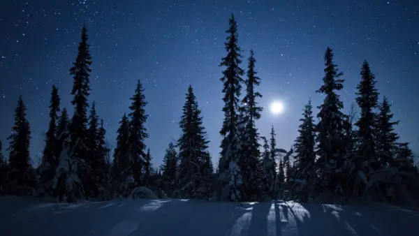 Full Moon above snow-covered land and trees
