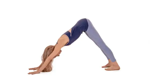 DOWNWARD FACING DOG POSE (ADHO MUKHA SVANASANA)