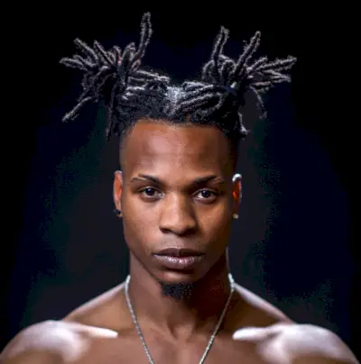 Dreads hérissées à double brioche