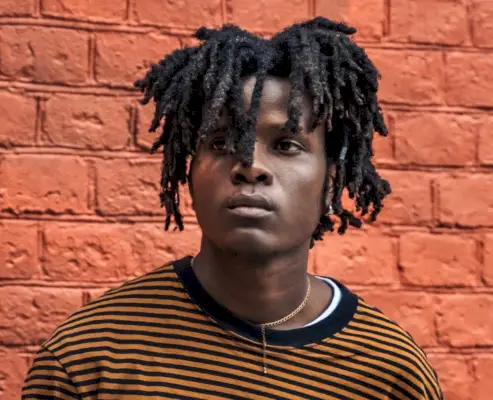 Dreads de forme libre