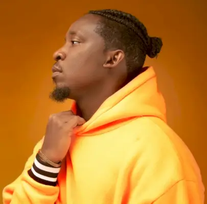 Chignon tresses cornrow