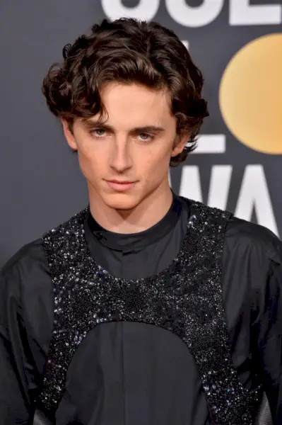 Timothée Chalamet 2019 Ondas Esculpidas