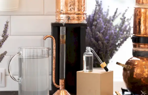 Distillazione della lavanda