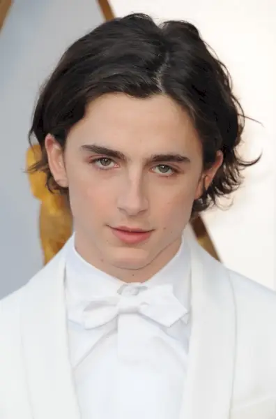 Timothee Chalamet na 90. dorocznej ceremonii rozdania Oscarów w białej muszce.