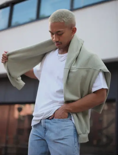 ソフトボーイの美的色彩