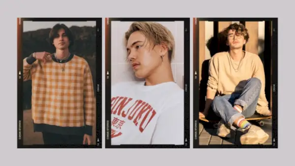 ソフトボーイの美的衣装