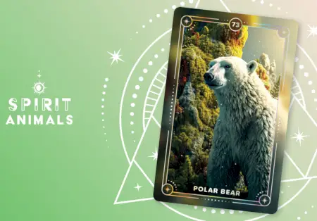 Niedźwiedź polarny