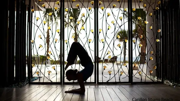 Carillon Miami Beach, scorpion