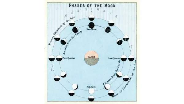 Vad den nya månen i cancer i juni betyder för dig