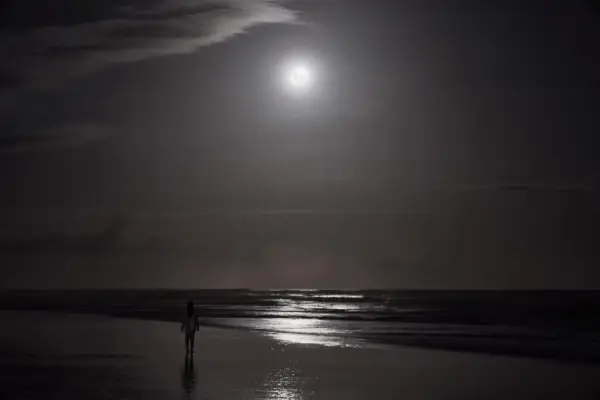 Prognoza săptămânală a astrologiei, 1-7 ianuarie: revizuirea și lansarea