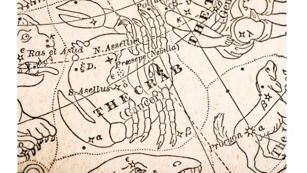 Vintage illustration of the constellation of stars known as Cancer