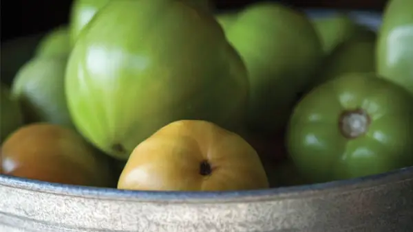 Jak zelená rajčata přestavují vaše svaly