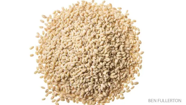 barley grains rich in potassium and magnesium