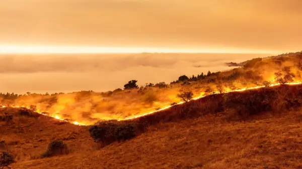 Jak zjistit příznaky nerovnováhy Pitta (a cítit se lépe!)