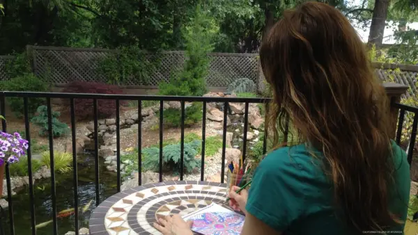 Ultimate 10-dagars rengöring: En traditionell ayurvedisk panchakarma reträtt