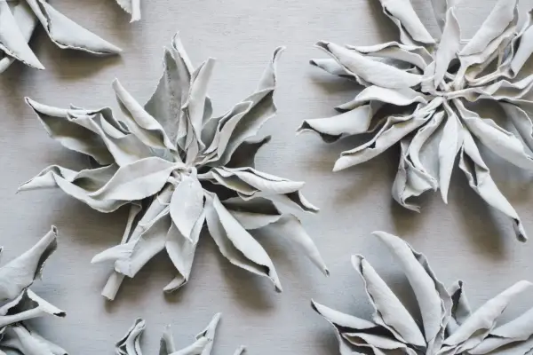 Er din Palo Santo -vane ondt i miljøet?