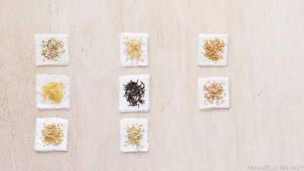 Bruk denne innfødte indiske urten til å bekjempe hjertesykdommer