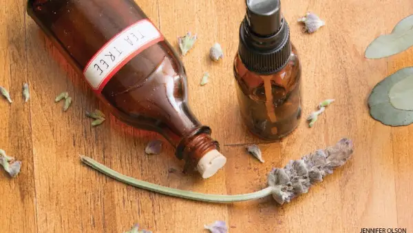 4 mešanice eteričnega olja za vaš dom