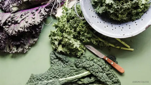 Come cibi amari bilanciano la tua dieta il tuo dosha