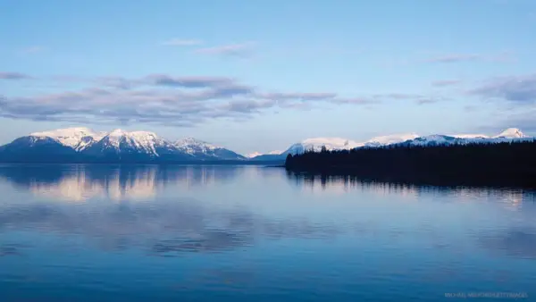 Frutos do mar sustentáveis: o que comer e o que evitar
