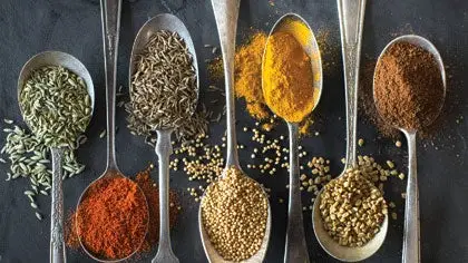 Balance Agni para melhor digestão