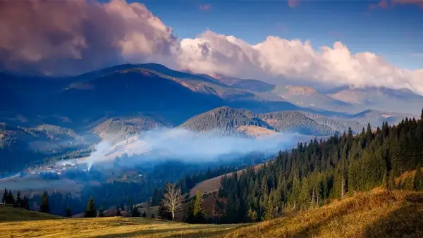 protect the earth, mountains, fog