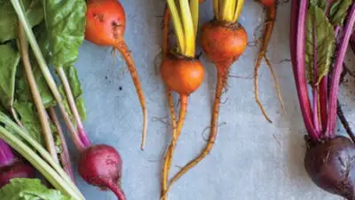 Gătit rădăcină la tulpină