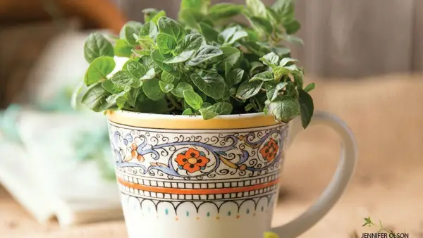 5 kreative upcycled planterideer