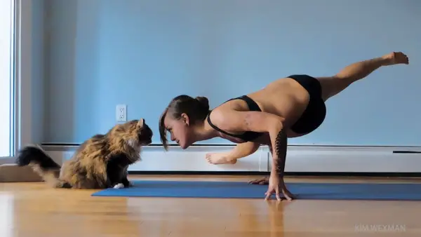 reader doing yoga with her cat
