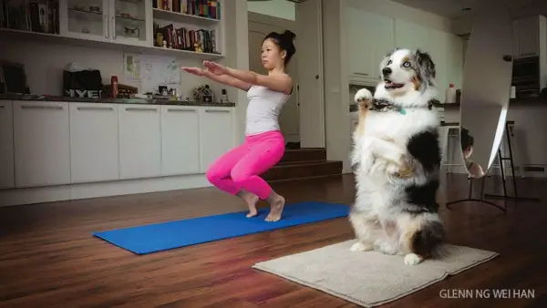 reader doing yoga with her dog