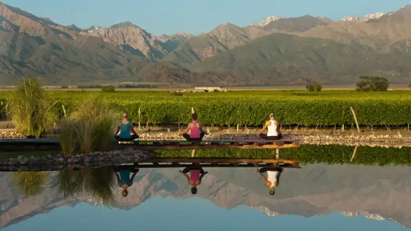 Resort Vines Vineyard Andes