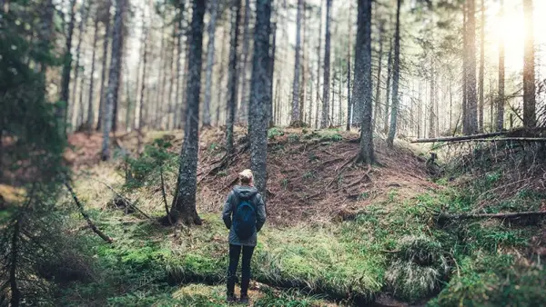 4 Aśramy docelowe dla autentycznego doświadczenia jogi