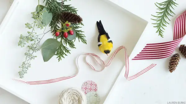 6 umweltfreundliche Geschenkideen