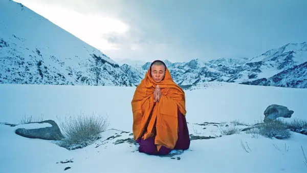 13 Yogorelaterade visar att du bör titta på i helgen