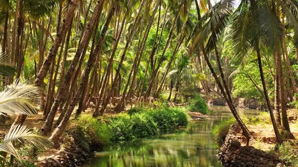 Voyage d'un homme pour trouver son gourou