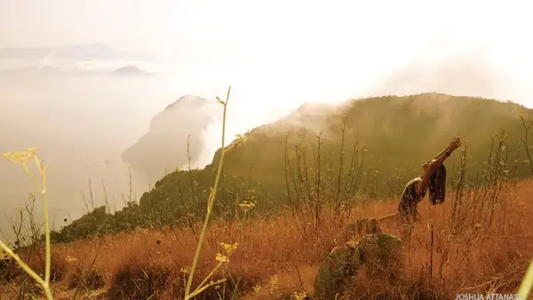 lunge, mountain, field