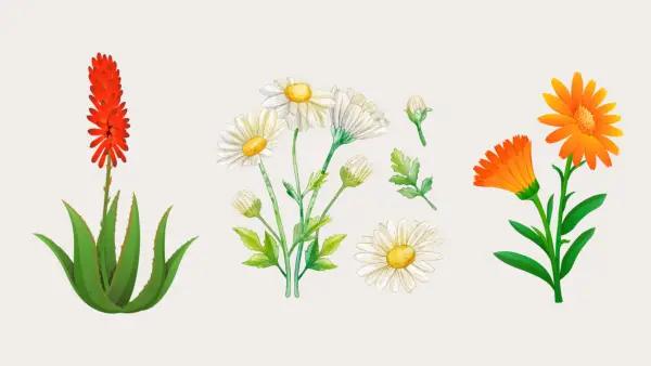 7 Dabiski mitrinātāji, kas palīdzēs hidratēt jūsu sautēto ādu