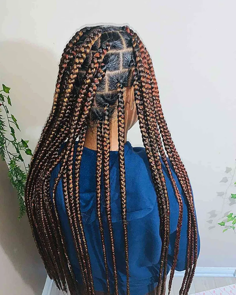 43 Box Braids pričeske za črne ženske (Trendi 2026)' title=