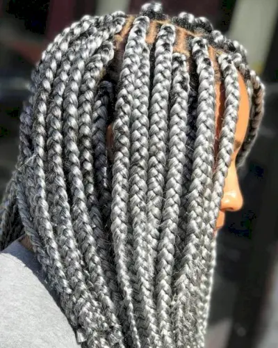 Collarbone-Length Silver Box Braids