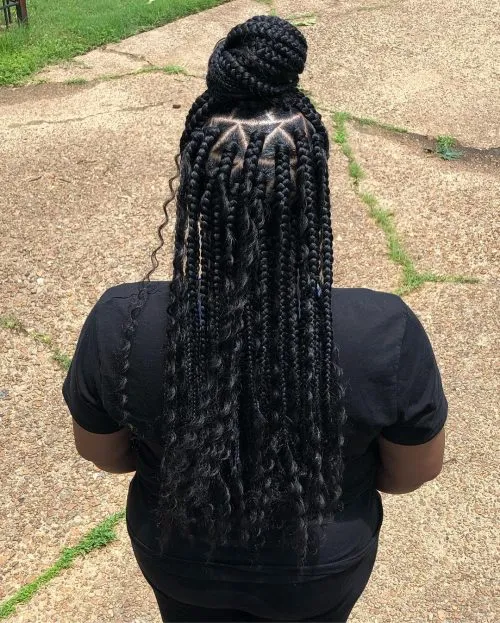 Triunghi Box Braids într-un coc' title=
