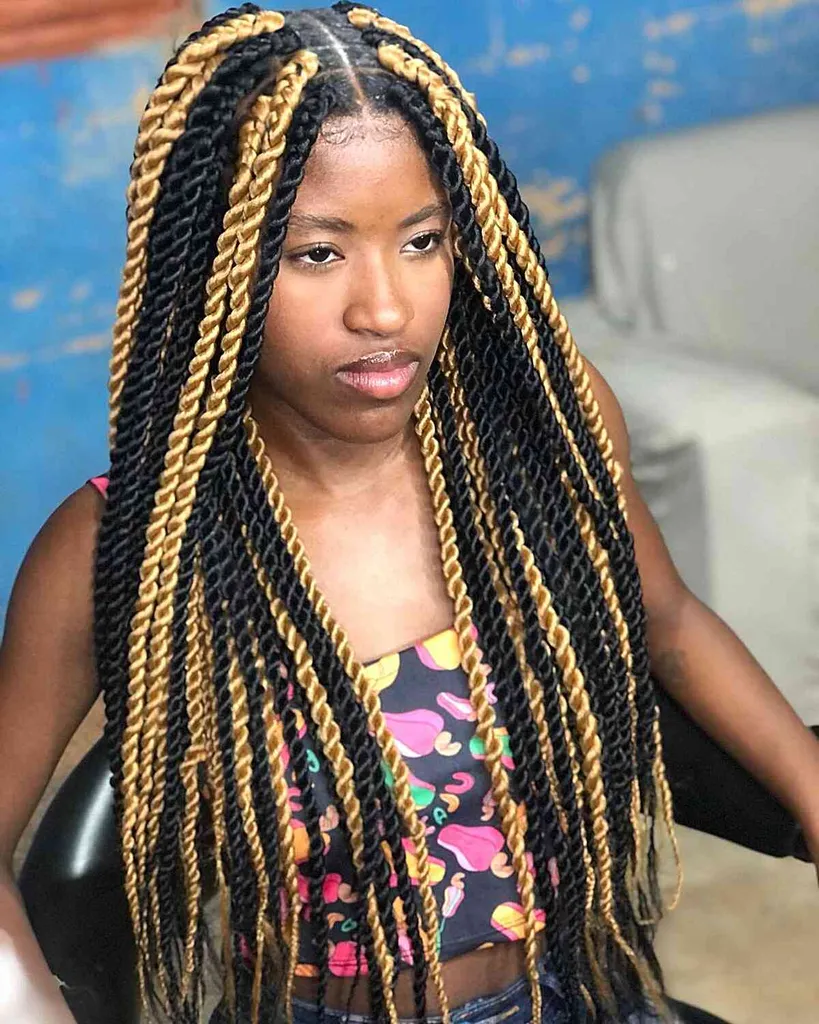 2 getönte senegalesische Twists Box Braids' title=