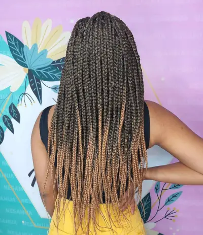 Long crochet braids