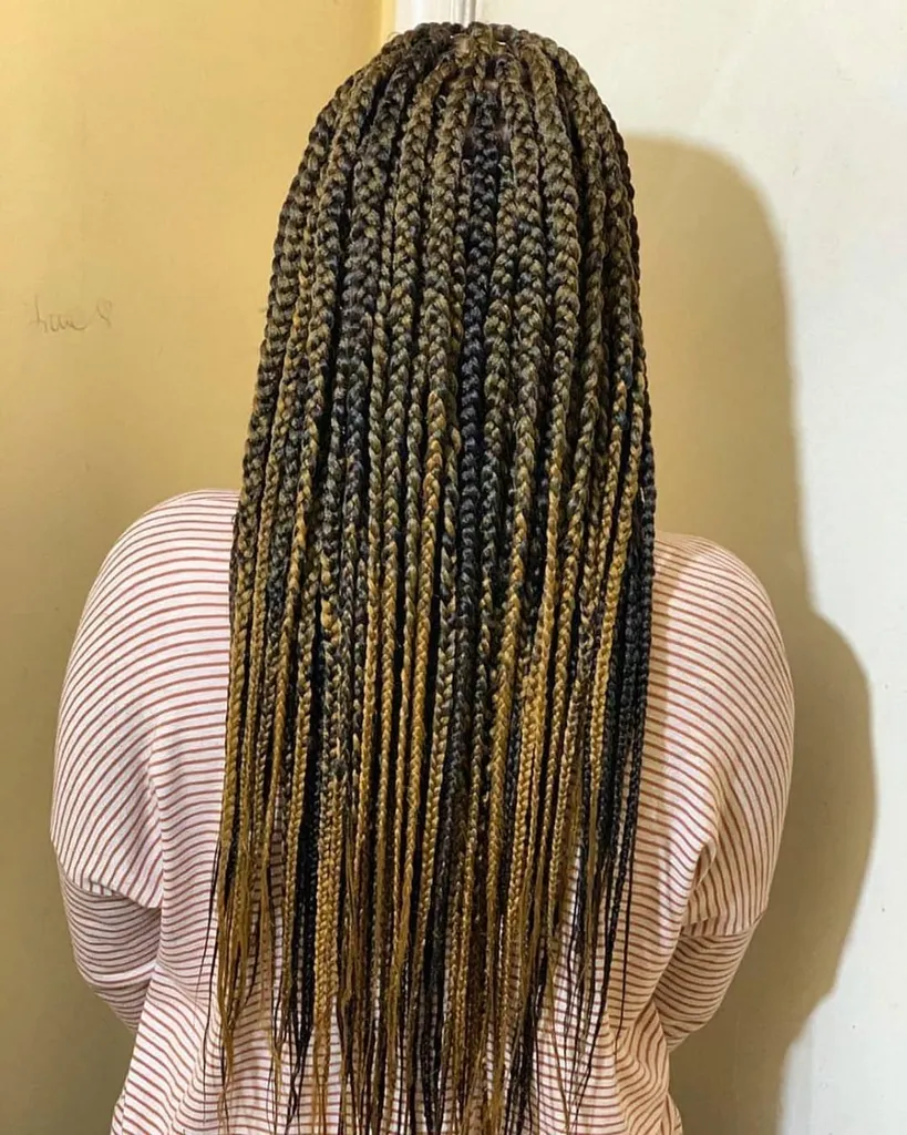 Blonde poetische Gerechtigkeit Zöpfe' title=