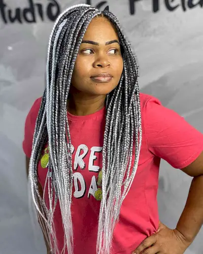 Black and Platinum Long Box Braids