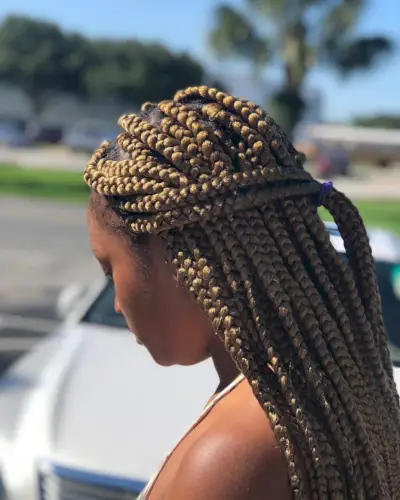 Chunky Lemonade Braids