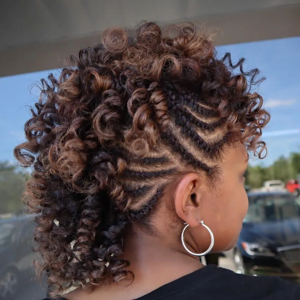 ochronne, sztuczne loki jastrzębia' title=