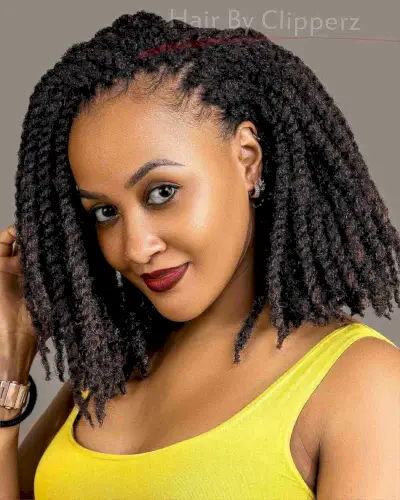 Damali Twists Protective Hairstyle