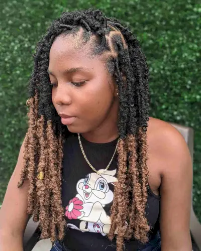 Butterfly Locs Protective Hairstyle